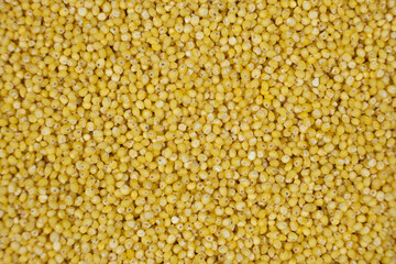 Whole millet grains top view macro