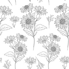 Floral seamless background line art. Aster seamless pattern. Floral background with Asters. September birth month flower line art. Botanical Background for wrapping paper, textile