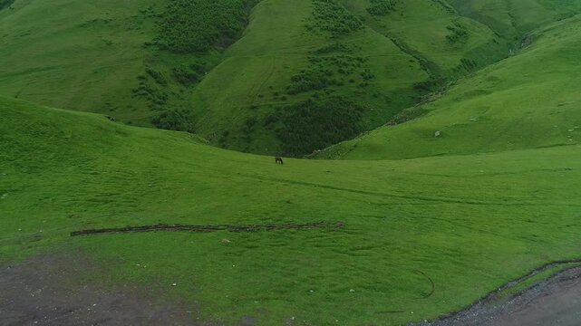 landscape with green grass