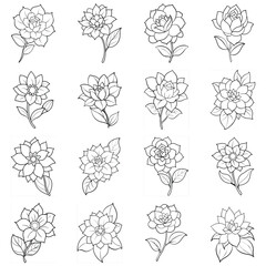 vector set of flowers
