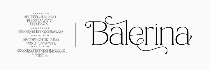 Elegant alphabet letters font logo. Typography luxury classic lettering serif fonts decorative wedding vintage retro logos, design for fashion,beauty shop and brand .vector illustration