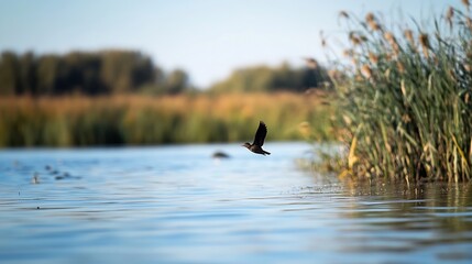 Bird in Flight Over Calm Water Surface Surrounded by Lush Green Reeds : Generative AI
