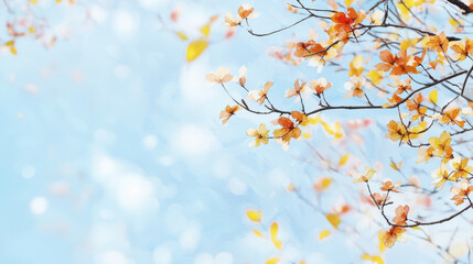Autumn leaves on branches against soft blue sky create serene atmosphere
