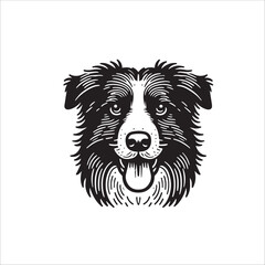 Fototapeta premium Simple Australian Shepherd Face Vector Icon – Vintage Logo & Retro Illustration
