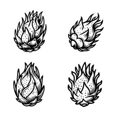 Dragon Fruit Silhouette Vector Set &ndash; Exotic Tropical Pitaya Icons