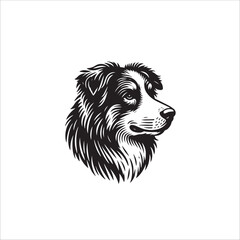 Fototapeta premium Simple Border Collie Face Head Vector Icon – Vintage Logo & Retro Illustration