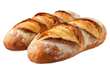 Artisanal bread loaves on a clear background