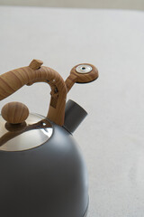 one aluminum teapot on light plain background close-up