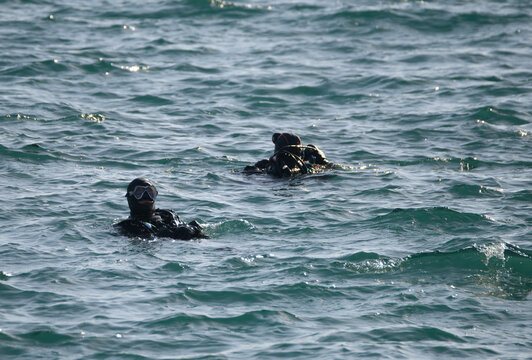 Deux plongeurs avec bouteilles en Bretagne