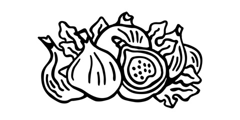 
Vector black and white horizontal image of fig with leaves on white isolated background