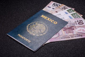 International biometric passport of a citizen of Mexico