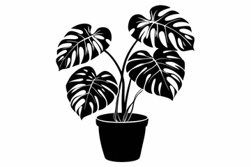 monstera deliciosa plant in pot line art silhouette vector illustration