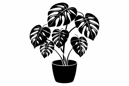 recommend clip art: monstera deliciosa plant in pot line art silhouette vector illustration