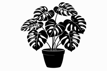 monstera deliciosa plant in pot line art silhouette vector illustration