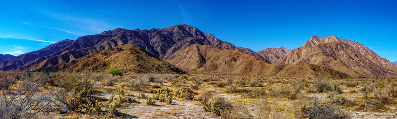 Cactus Trails to the Santa Rosa Peaks