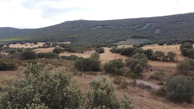 Aerial Drone Shot Starting Behind Trees Over a Farm in Toledo, Spain - 602
