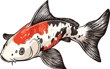 vector illustration of a fish