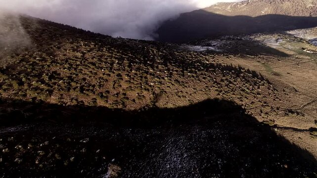 fog in the mountains