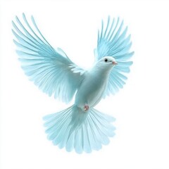 Obraz premium White Dove in Flight Against White Background