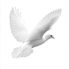 Obraz premium White Pigeon in Flight Against White Background