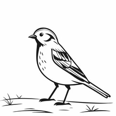 bird on a branch and The Fascinating World of Birds, The Life of Birds, The Secret Lives of Birds, Nature’s Melodies, The Story of Birds, The Journey of Birds, Understanding Birds
