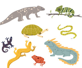 Cute terrarium amphibians and exotic reptiles set  hand drawn vector illustration. Salamander, chameleon, frog and toad, turtle, lizard, gecko, triton, snake, iguana.