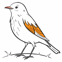 bird on a branch and The Fascinating World of Birds, The Life of Birds, The Secret Lives of Birds, Nature’s Melodies, The Story of Birds, The Journey of Birds, Understanding Birds