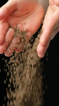 Hands pouring natural seasoning whole cumin seeds on a black background