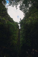 Tall Waterfall Flowing Down Rocky Cliff in Madeira

