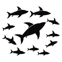 set of sharks