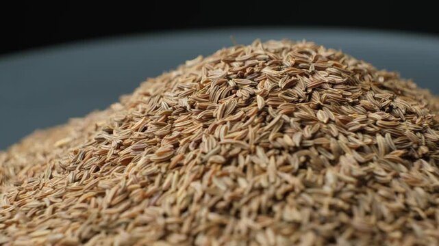Dried Cumin Seeds Close-Up Culinary Ingredient Rotation