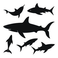 Obraz premium set of sharks vector