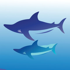 Obraz premium vector illustration of a shark