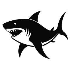 shark vector illustration