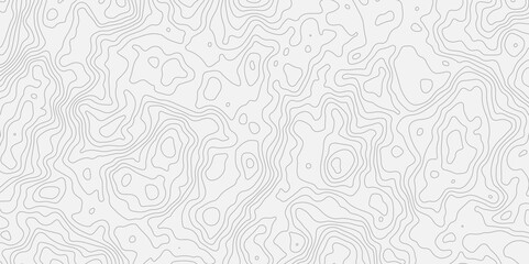 Topography and geography map grid abstract backdrop.The stylized height of the topographic map in contour, lines. creative cartography. Black and white landscape geographic pattern.
