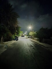 Quiet nighttime street illuminated by streetlights with palm trees lining the road