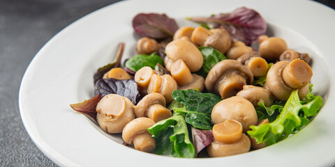 Champignon salad green lettuce canned mushrooms fresh delicious gourmet food background on the table rustic food top view copy space keto and paleo diet vegetarian and vegan food