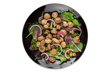 Champignon salad green lettuce canned mushrooms fresh delicious gourmet food background on the table rustic food top view copy space keto and paleo diet vegetarian and vegan food