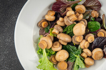 Champignon salad green lettuce canned mushrooms fresh delicious gourmet food background on the table rustic food top view copy space keto and paleo diet vegetarian and vegan food