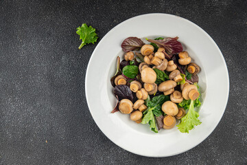Champignon salad green lettuce canned mushrooms fresh delicious gourmet food background on the table rustic food top view copy space keto and paleo diet vegetarian and vegan food