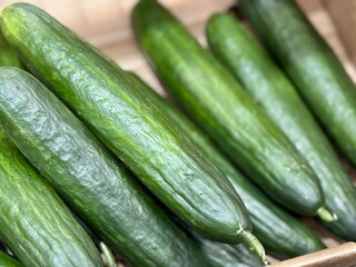 A lot of green cucumbers in a market counter for sale on sale in vegetable stand display at supermarket show organic food, vegetarian food, healthy food. Close-up