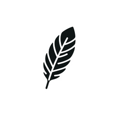 Minimalist black feather on white background, simplicity in design