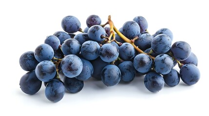 Fototapeta premium Blue grapes dry bunch isolated on white