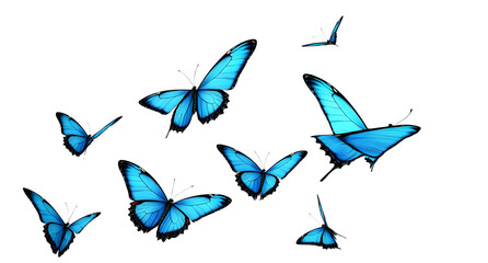 set de papillons bleus sur fond blanc - rendu 3D