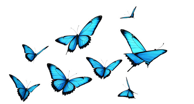 set de papillons bleus sur fond blanc - rendu 3D