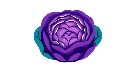 purple cabbage isolated on white background