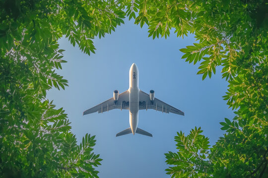 Plane flying through trees in dense forest, sunlight peeking through leaves, evoking a sense of adventure and exploration.