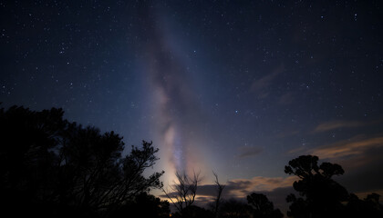 Night Milky Way view with tree silhouettes and cloudy sky at dawn, photo. White tone