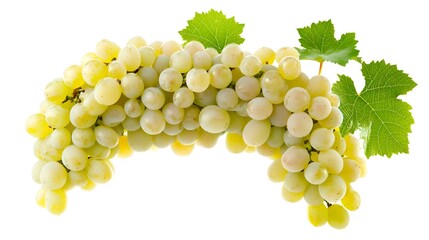 Isolated grapes