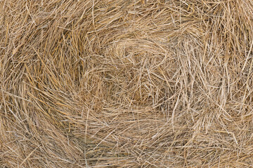 Spiral pattern in a round hay bale.